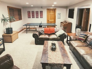 TV, fireplace, ping pong, books