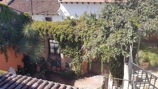 A courtyard with a tiled roof, a white building with a window, and lush greenery including a palm tree. - Apartament El Calvario at Casa Ovalle (Antigua Guatemala)