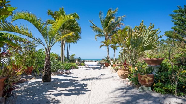 A sandy pathway flanked by potted plants and palm trees leading to a beach. - 1BR beachside condo ~ pool, beach, restaurants!  Balcony with gulf views. FN 806 (St Pete Beach)