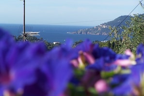 Pool - Côte d'Azur - Near Cannes, detached, charming holiday home with sea views (Mougins)