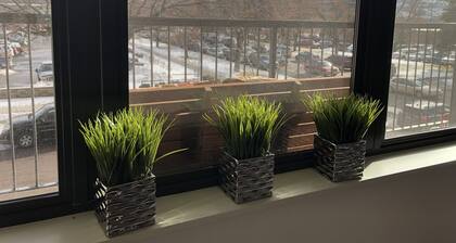 Modern Apt # 202 - korttelin päässä St. Patin sairaala