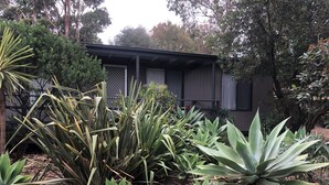 Um jardim com diversas plantas e um edifício ao fundo.