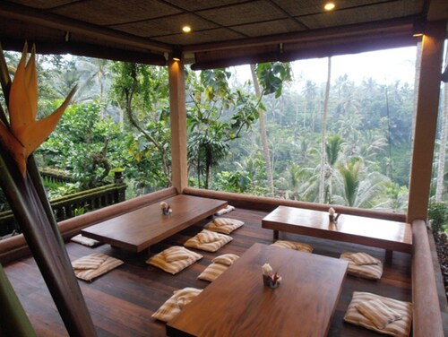 beautilful seperate bungalows in the heart of the rainforest