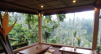 beautilful seperate bungalows in the heart of the rainforest