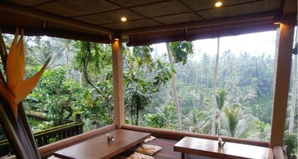 beautiful seperate bungalows in the heart of the rainforest