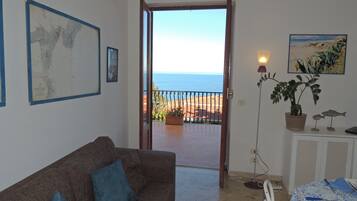 Smart TV, fireplace, DVD player, books