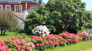 A house with a red exterior, a white fence, and a large tree in front.