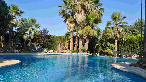 A clear blue pool surrounded by palm trees and lounge chairs. - Can Gual de Inca, Elegant Vila, Mallorca (Inca)