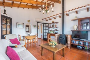 TV, fireplace, DVD player