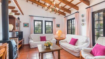 Télévision, cheminée, lecteur de DVD