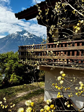 Property grounds - Peaceful Family Chalet in the Alps – 15 min from Saint-François-Longchamp (Saint-Martin-sur-la-Chambre)