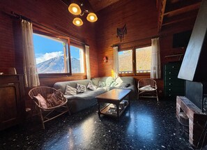 Télévision, cheminée, livres