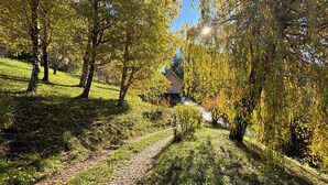 Un sendero en un parque con árboles, una estatua y un edificio al fondo.