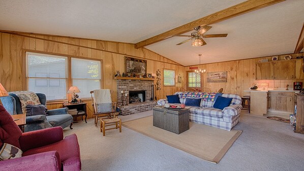 Télévision, cheminée, lecteur de DVD