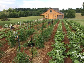 Property grounds - The Mockingbird Farm "Barn-do-minium" is situated on 27 rolling acres. (Seymour)