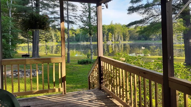 Un pontile in legno con ringhiera che si affaccia su un lago circondato da alberi.