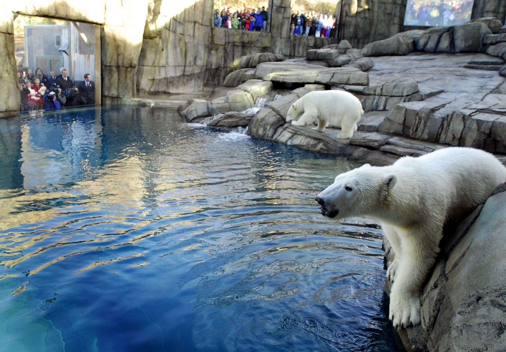 See the animals at Pittsburgh Zoo & PPG Aquarium, just ~16 mi. SW