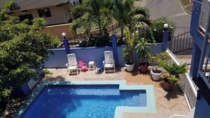 A rooftop pool with clear blue water, surrounded by potted plants and white lounge chairs.