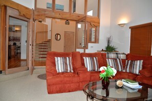 Télévision, cheminée, lecteur de DVD, livres