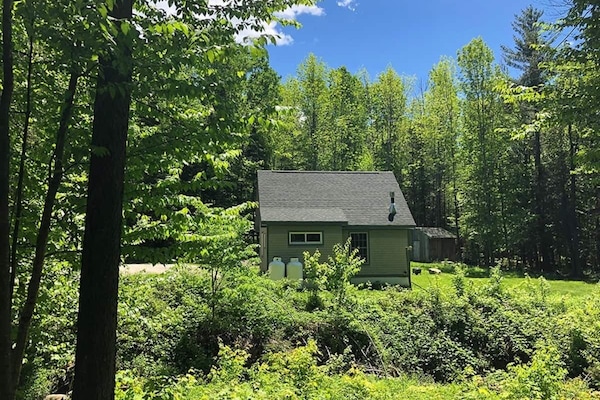 Summer time at the Cabin