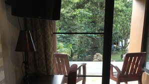 A room with a desk, chair, TV, and a view of a garden through a glass door.