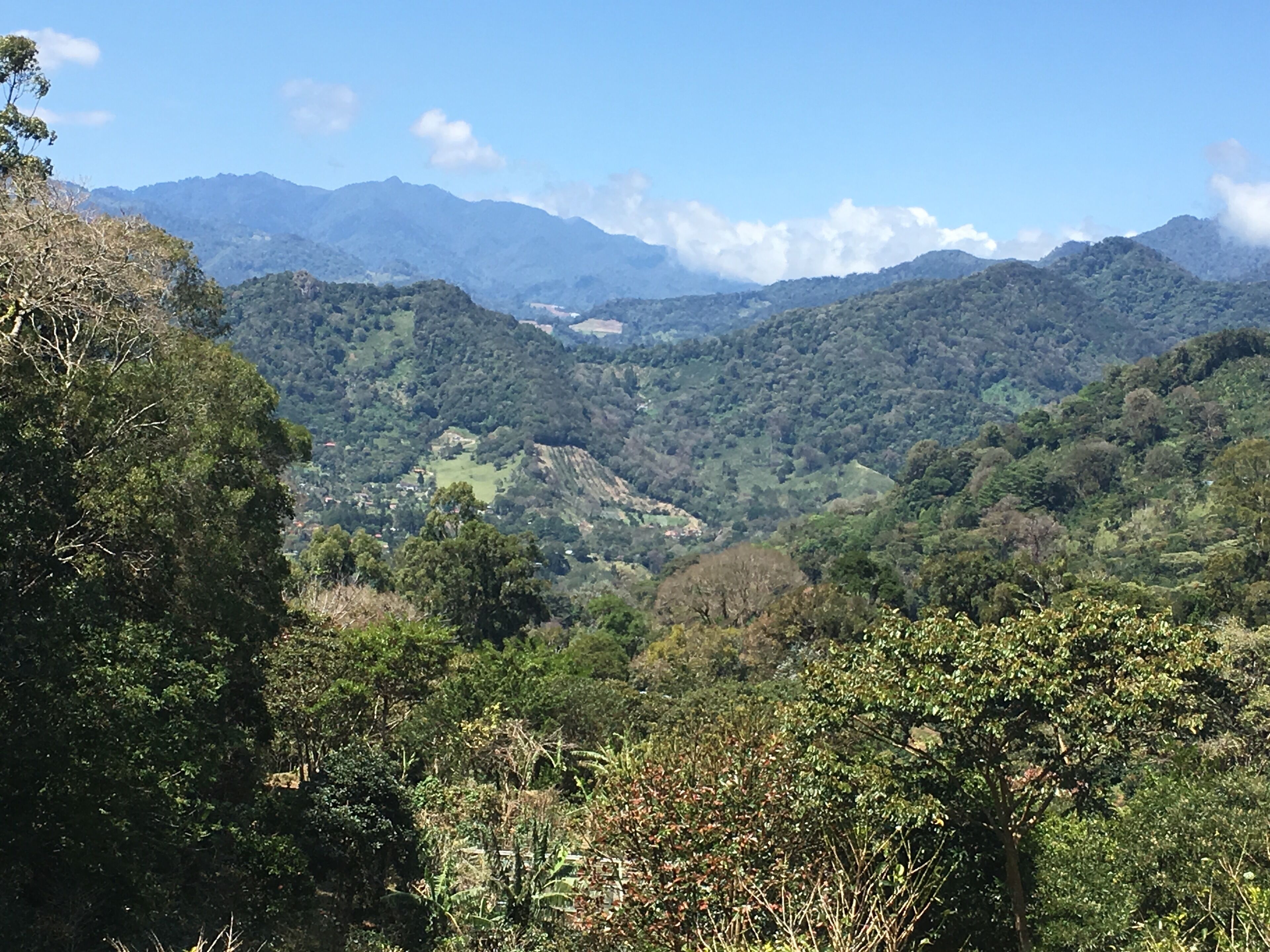 A mountainous landscape with dense forest and a valley.