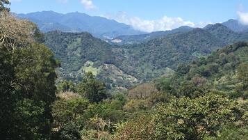 A mountainous landscape with dense forest and a valley.