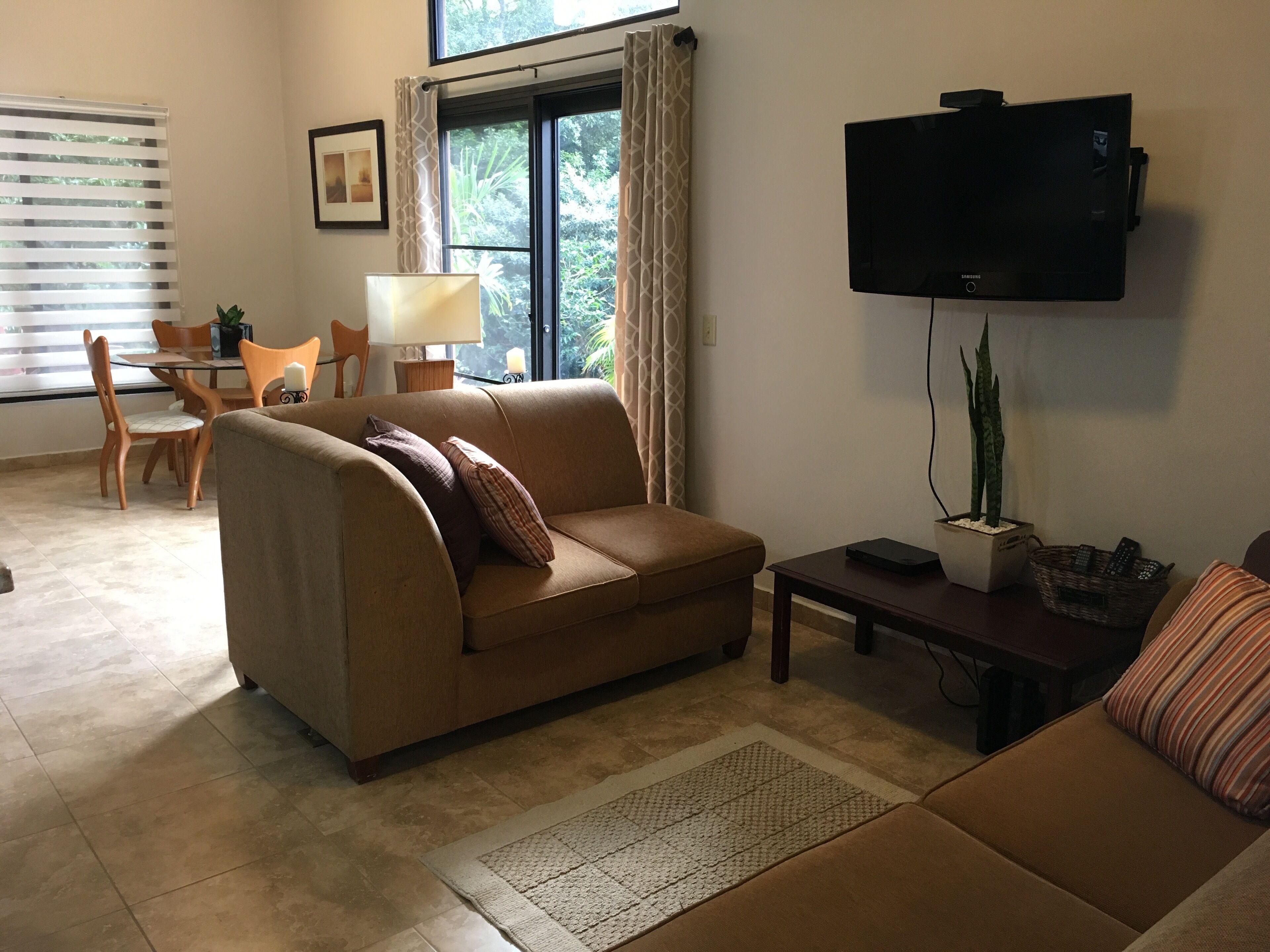Smart TV, DVD player, books