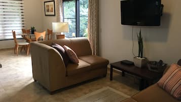 Smart TV, DVD player, books