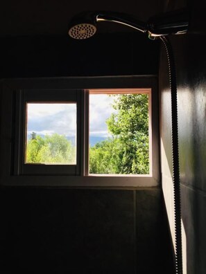 Family Room, 1 Bedroom, Non Smoking | Bathroom shower