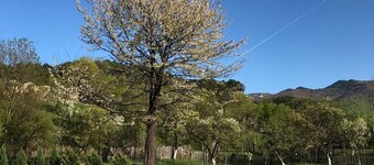 Luksus villa med oppvarmet svømmebasseng i et fantastisk naturmiljø.