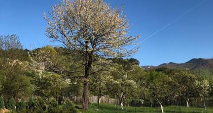 Luxury villa with heated swimming pool in a breathtaking natural environment.