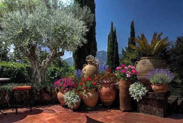 Un jardín con macetas de terracota grandes, diversas flores y altos cipreses.