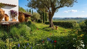 Ein Garten mit Baum, Topfpflanzen und Blick auf sanfte Hügel.