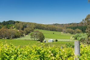 Land view from property - The Other House (Piccadilly)