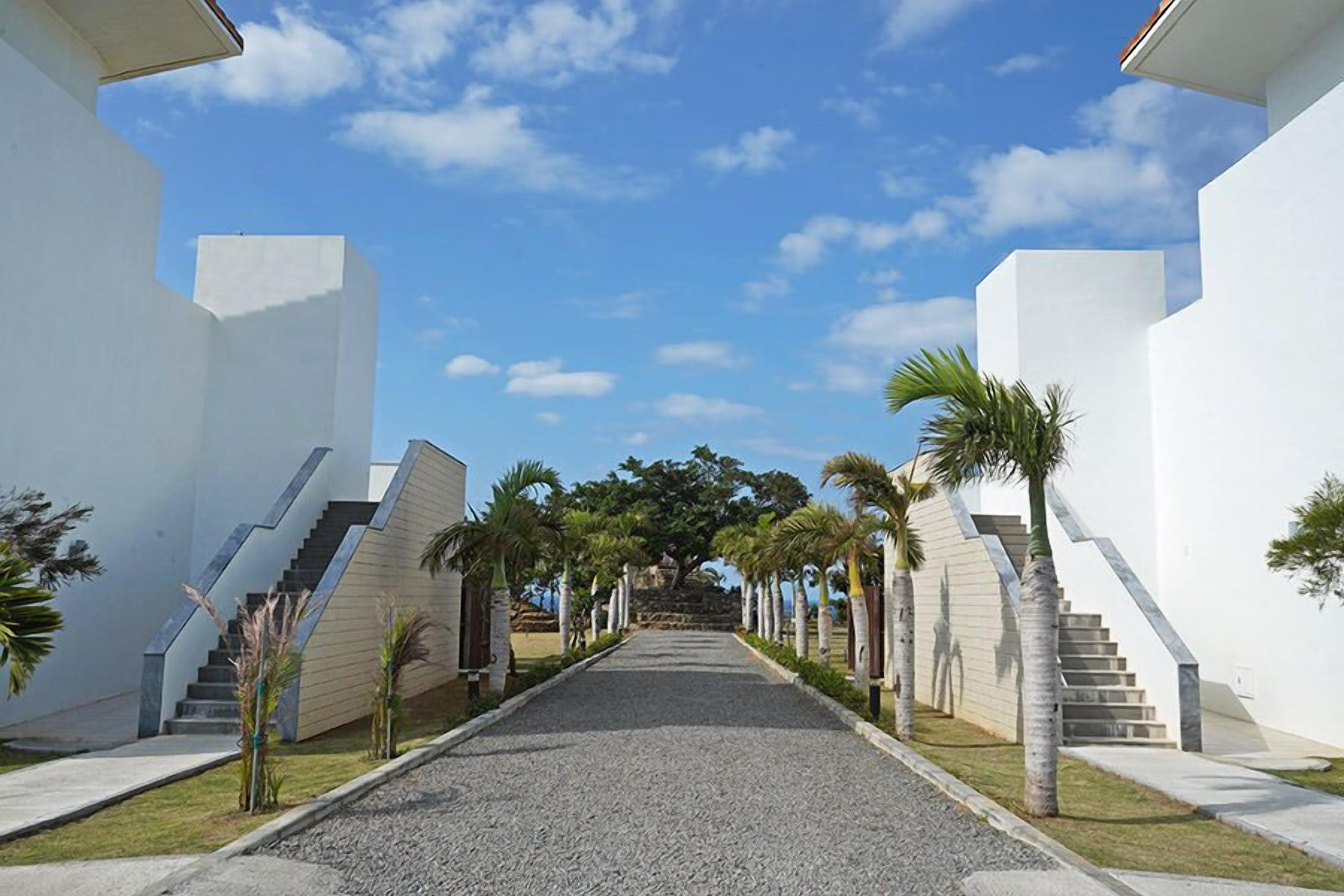 Un sendero conduce a un edificio de diseño arquitectónico moderno, bordeado por palmeras y un cielo despejado.