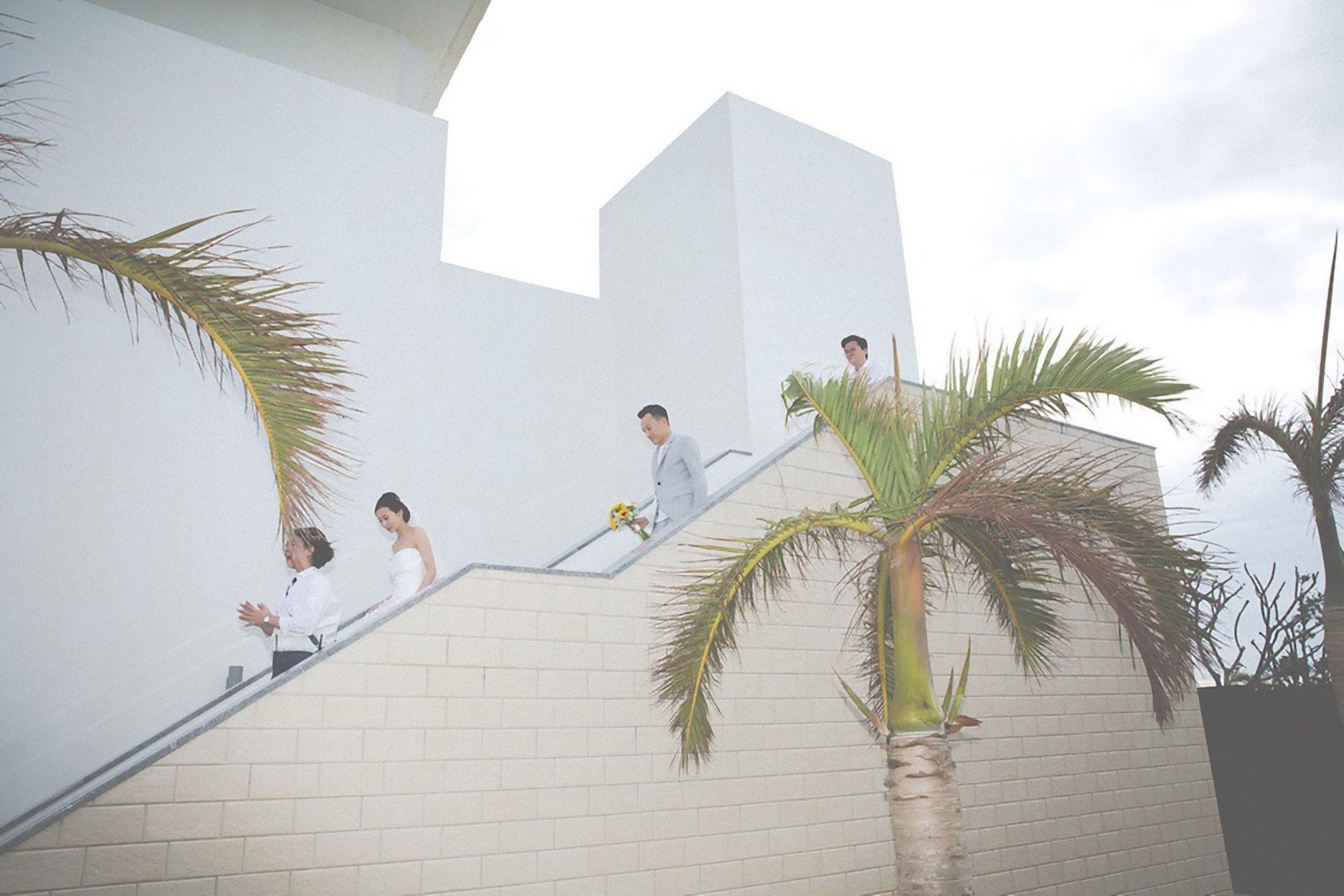 Un escalier bordé de palmiers, un mur blanc et un ciel dégagé.