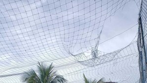 A fenced outdoor area with a pool, palm trees, and a building with a tiled roof.