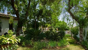 Property grounds - Villa Vacacional Los Naranjos (Montemayor)