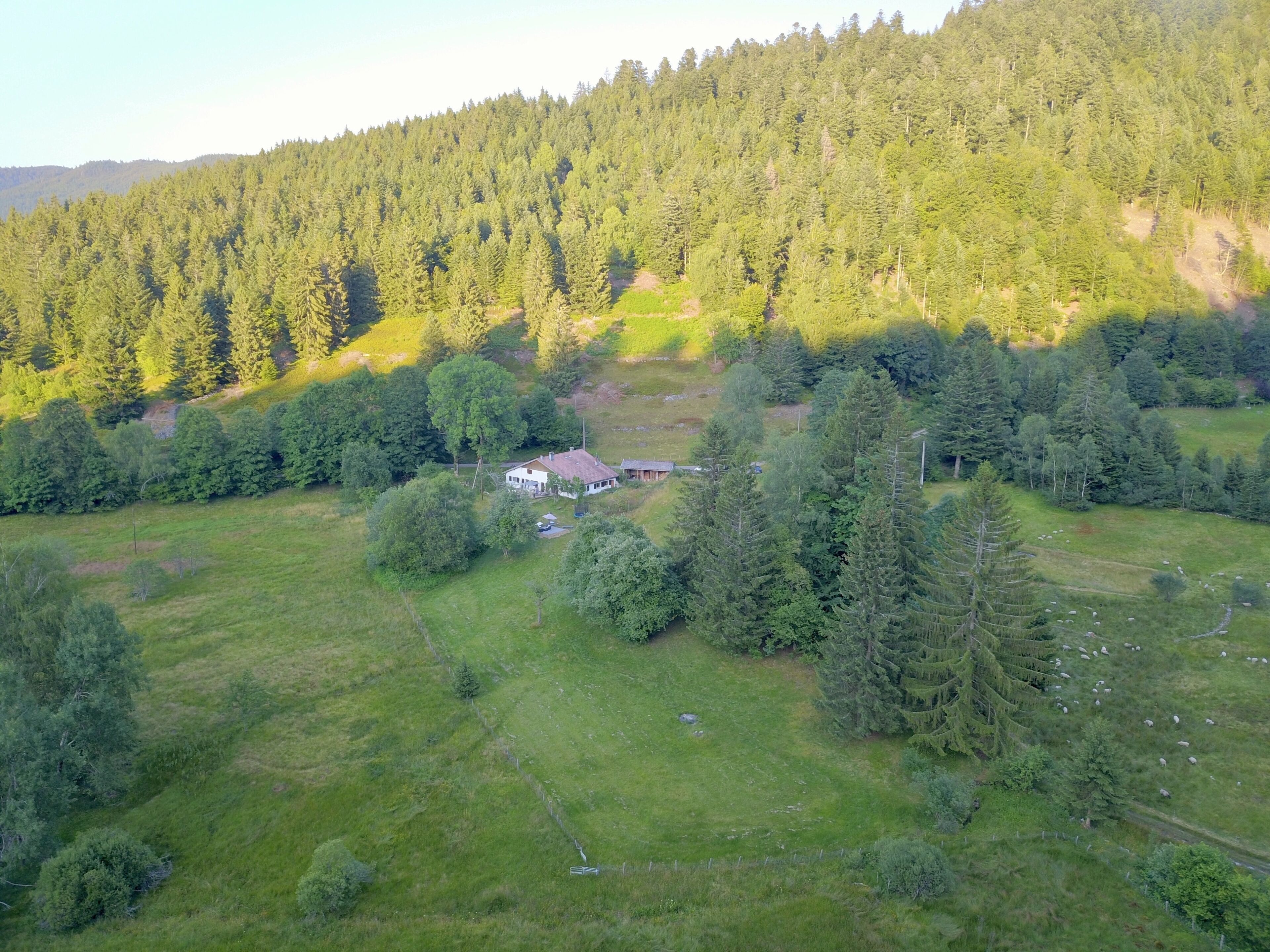 Luftbilde