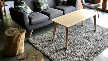 Télévision, cheminée, table de tennis de table, livres