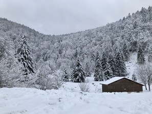 Exterior - Spacious family inn surrounded by nature (Ventron)