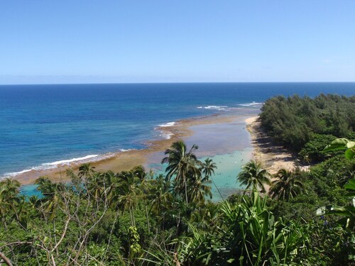 Istutus Princevillessa, ilmastointi, kaunis sekoitus saarta ja istutustyyliä