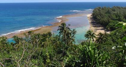 Istutus Princevillessa, ilmastointi, kaunis sekoitus saarta ja istutustyyliä