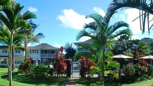 A well-maintained garden with a pathway leading to a gated entrance, surrounded by palm trees and tropical plants.