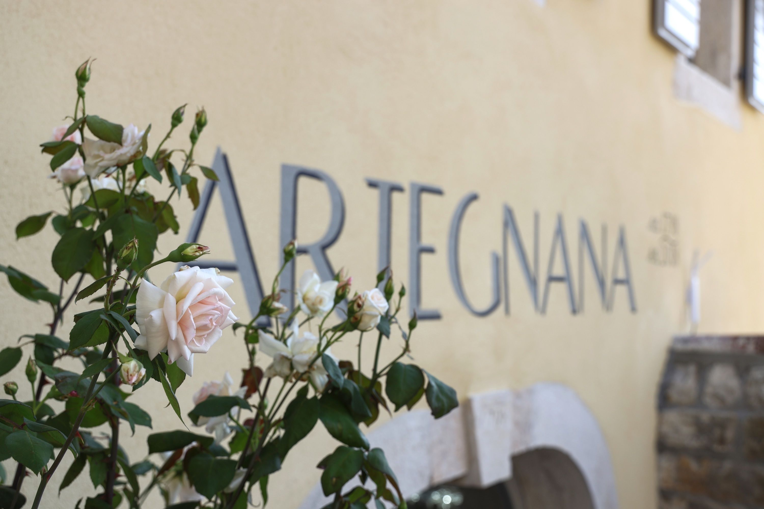 A wall with the text "ARTEGNANA" and a stone structure.