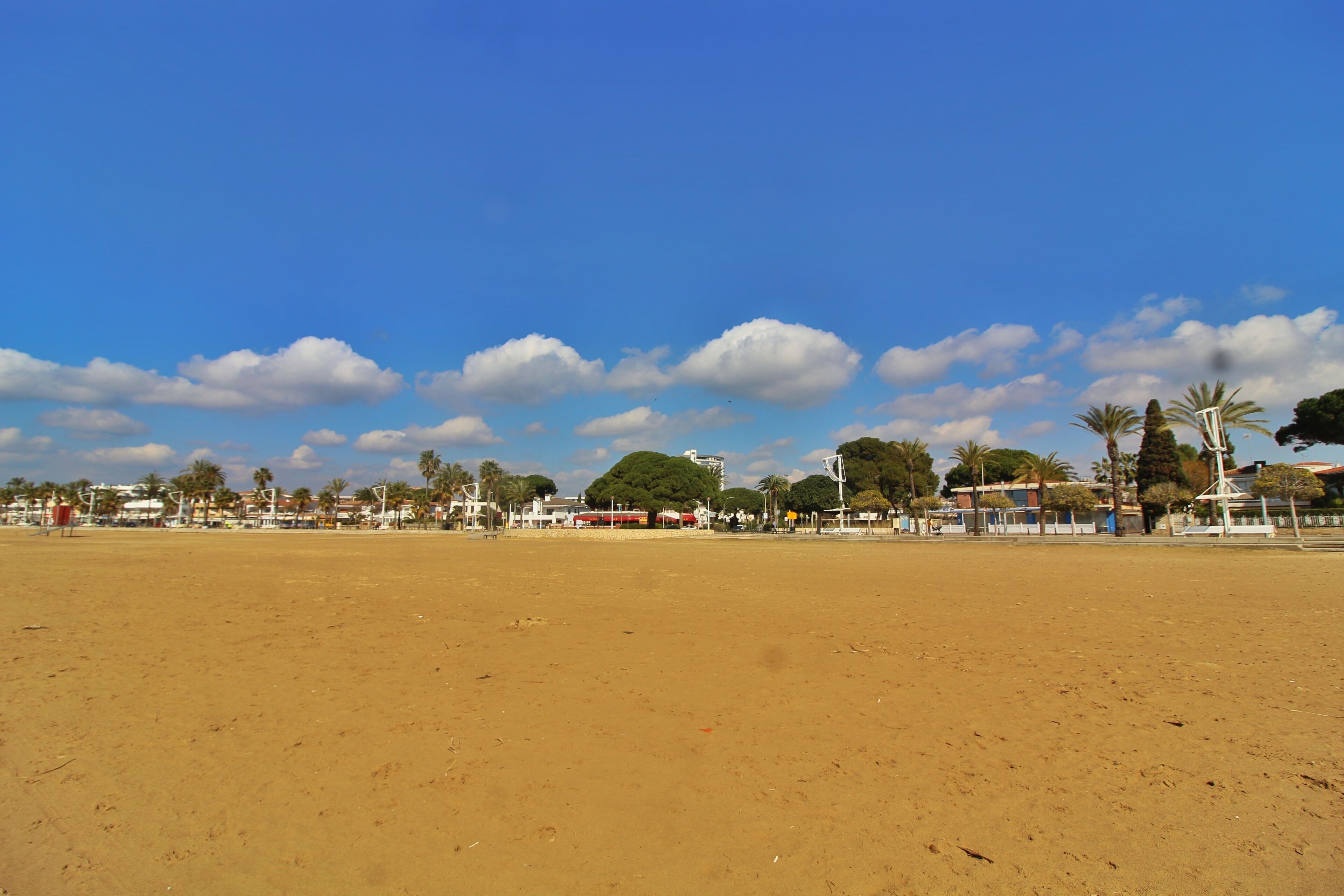 Una playa arenosa con palmeras y edificios al fondo.