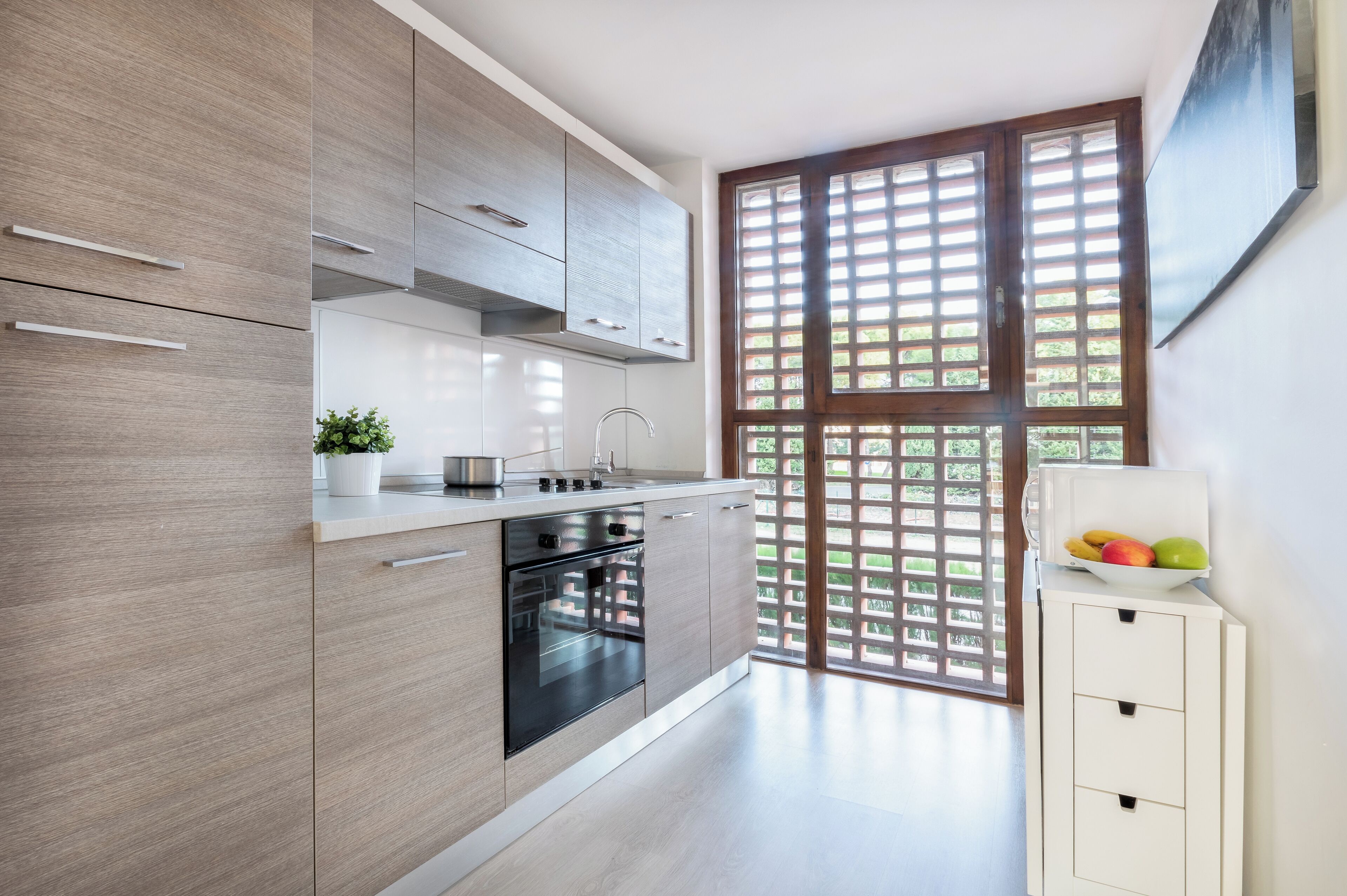 Full-sized fridge, microwave, oven, stovetop