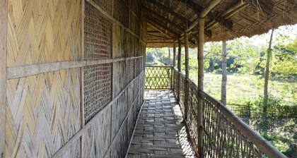 Dhansiri Eco Camp