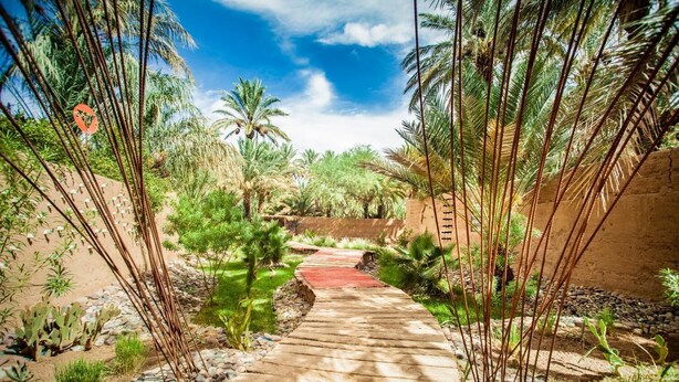 A pathway surrounded by palm trees and cacti, leading to a building with a red roof. - Riad Lamane (Zagora)